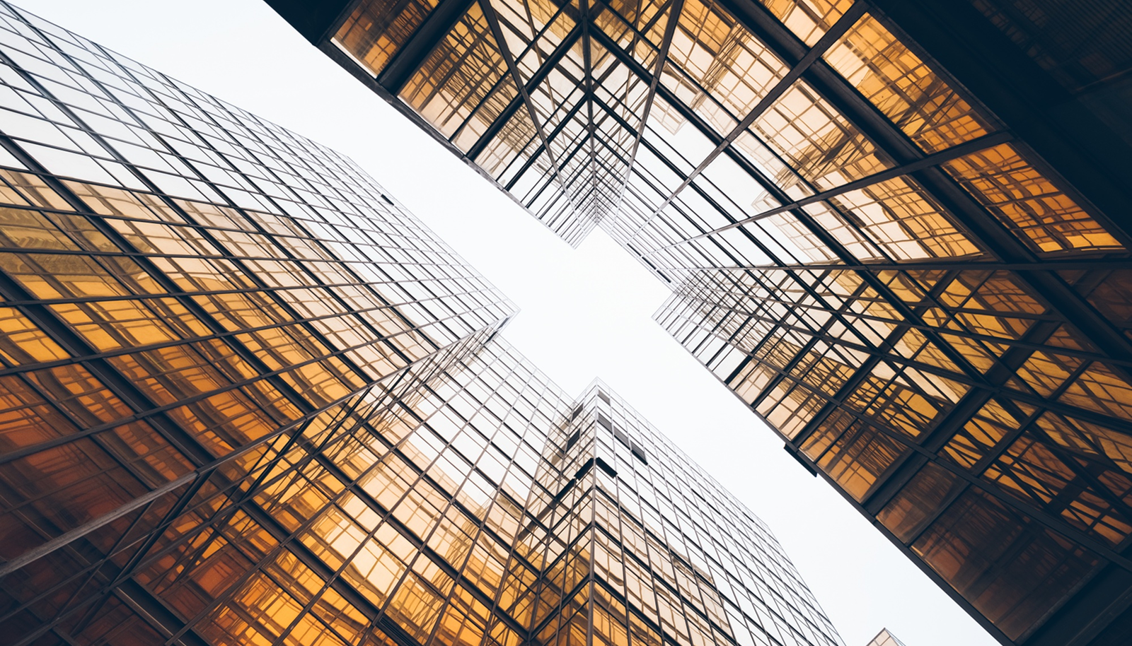 Case studies construction